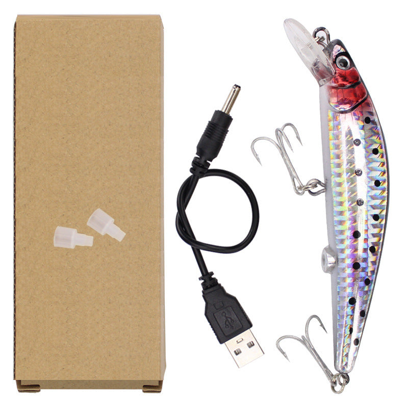 Load image into Gallery viewer, 🍁 Fall Sale-50% OFF🐠LED Fishing Lure