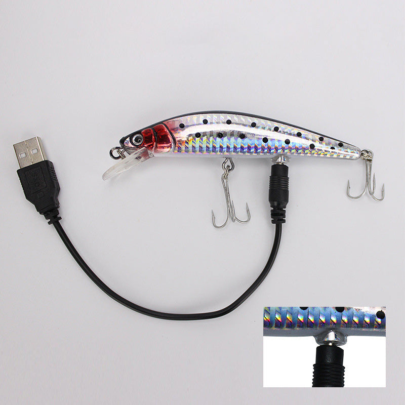 Load image into Gallery viewer, 🍁 Fall Sale-50% OFF🐠LED Fishing Lure