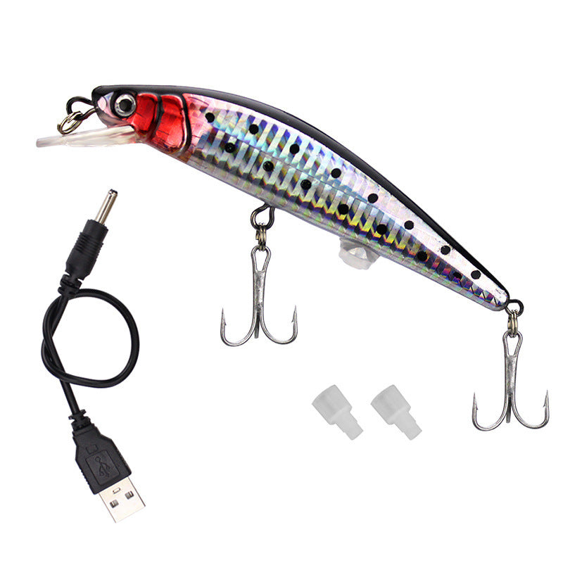 Load image into Gallery viewer, 🍁 Fall Sale-50% OFF🐠LED Fishing Lure