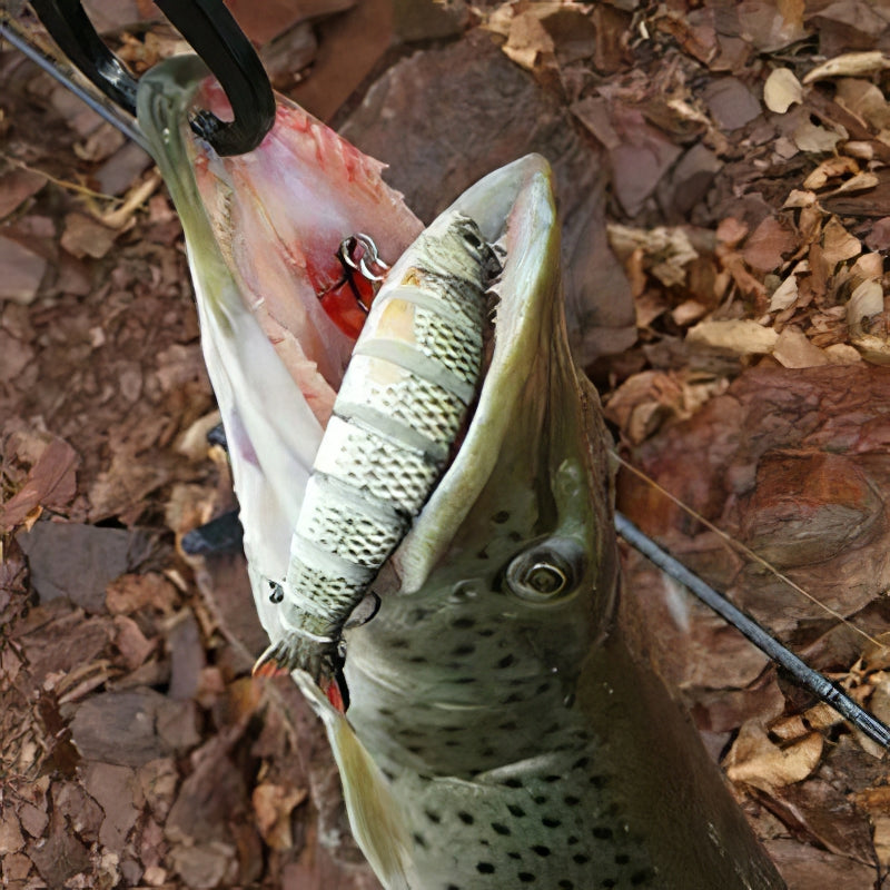 Load image into Gallery viewer, đ Fall Sale-50% OFFđ TheWishingRodâ˘- Lifelike Swimbait