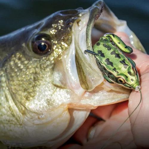 🍁 Fall Sale-50% OFF🐠Artificial Ultra-Realistic Frog Fishing Lure
