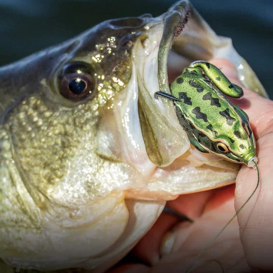 🍁 Fall Sale-50% OFF🐠Artificial Ultra-Realistic Frog Fishing Lure