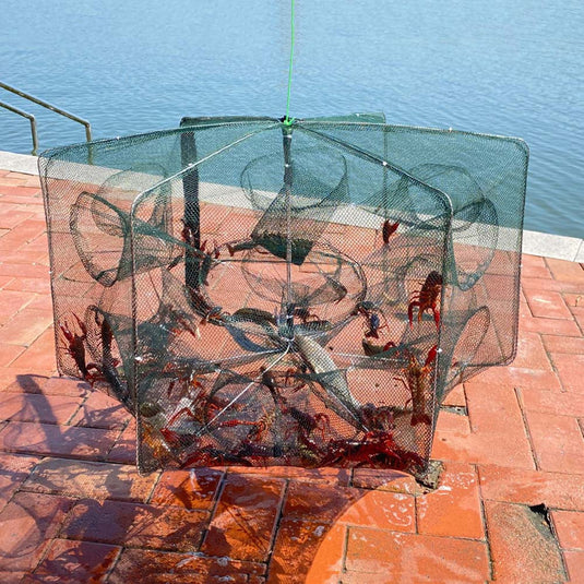 🏝️ Summer Sale-43% OFF🐠Automatic Fish Trap 6-16 Entry Holes
