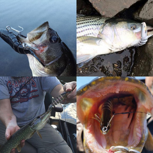 🏝️ Summer Sale-50% OFF🐠TheWishingRod™- Lifelike Swimbait