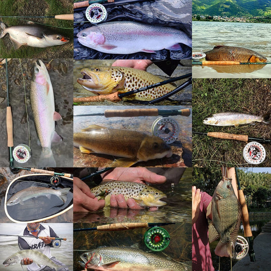 🌷 Spring Sale-50% OFF🐠MAXIMUMCATCH Combo Fishing Rod and Reel