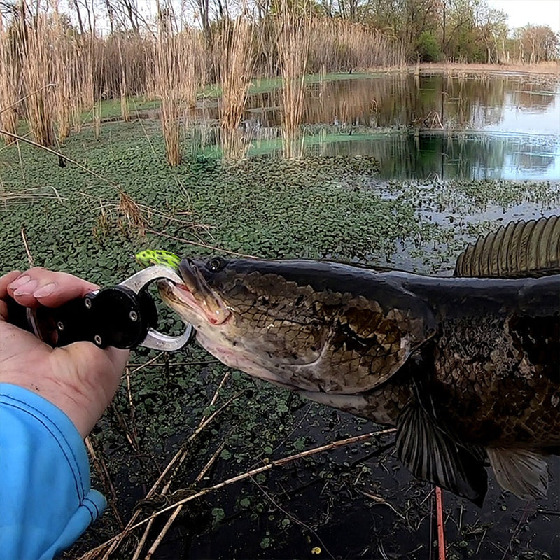 Load image into Gallery viewer, 🍁 Fall Sale-40% OFF🐠GOTURE Frog Fishing Lure 3 sizes
