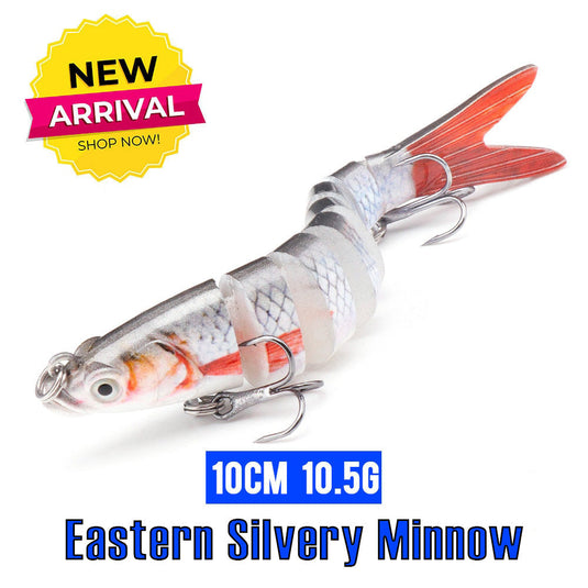 🏝️ Summer Sale-50% OFF🐠TheWishingRod™- Lifelike Swimbait