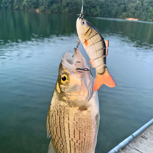 🏝️ Summer Sale-50% OFF🐠TheWishingRod™- Lifelike Swimbait