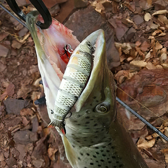 🏝️ Summer Sale-50% OFF🐠TheWishingRod™- Lifelike Swimbait
